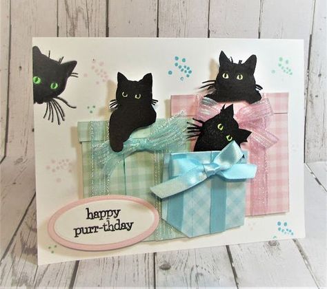 Crazy Cats Cards, Cat Cards Handmade, Project Paper, Paper Crafting Projects, Cat Birthday Card, Creative Birthday, Dog Cards, Fold Cards, Embossed Cards