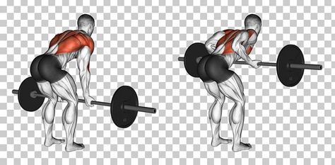 Human Back, Barbell Workout, Smith Machine, Calf Raises, March 5, Back Muscles, Color Help, Weights Workout, Weight Training