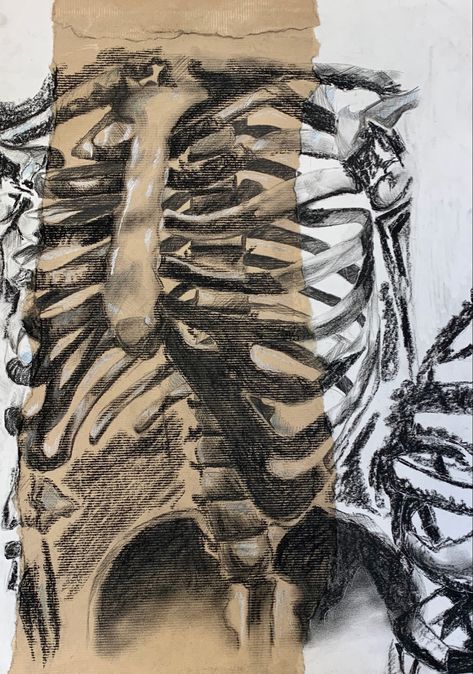 Charcoal and chalk observational study of skeleton/ human form Human Form Artists, Human Forms Art, Skeleton Charcoal Drawing, Abstract Skeleton Art, Charcoal And Chalk Drawings, Human Decay Art, Growth And Decay Art Gcse, Charcoal Skeleton, Human Form Art