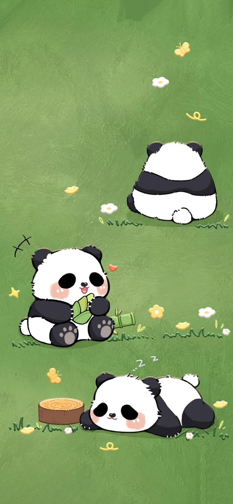 Panda Background Wallpapers, Cute Wallpapers Animals, Aesthetic Panda Wallpaper, Cute Panda Wallpaper Iphone, Panda Phone Wallpaper, Walpaper Panda, Panda Dp, Panda Art Cute, Cat And Panda