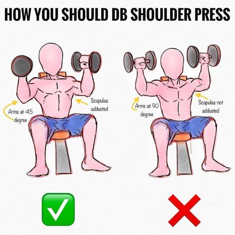 ⭕️DUMBBELL SHOULDER PRESS⭕️ _ Follow @ejmwellness for the BEST in wellness tips DAILY _ & post b Dumbbell Shoulder, Dumbbell Shoulder Press, Gym Tips, Effective Workout Routines, Weight Training Workouts, Workout Chart, Shoulder Press, Effective Workouts, Gym Workout Tips