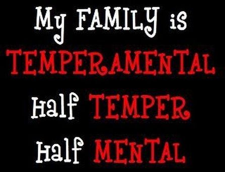 my family is tempermental quotes quote family quote family quotes funny quote funny quotes Family Quotes Humor, Funny Family Quotes, Family Christmas Quotes, Funny Commercial Ads, Family Quotes Funny, Funny Commercials, Funny Ads, Funny Family, Family Funny