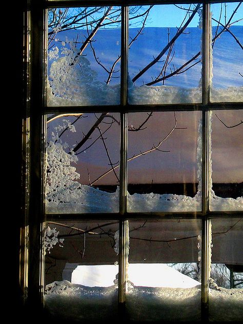 Evening Ice | Sarah Le Feber Winter Window, Looking Out The Window, Beautiful Windows, Winter Beauty, Window View, Window Pane, Snow Scenes, Winter Wonder, Through The Window