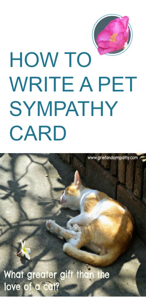 Loss Of Cat Sympathy, Cat Sympathy Cards, Sympathy Messages For Loss, Words For Sympathy Card, With Deepest Sympathy, Dog Sympathy Card, Sympathy Notes, Cat Sympathy, Sympathy Card Messages