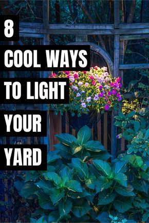 Easy Outdoor Lighting Ideas, Solar Light In Planter, Simple Outdoor Lighting, Garden Lights On Fence, Solar Yard Lights Ideas, Under Tree Lighting, Creative Outdoor Lighting Ideas, Outside Solar Lighting Ideas, Solar Backyard Lighting Ideas