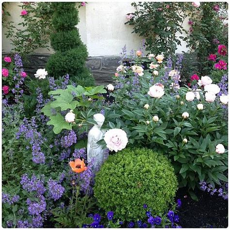 Casey Pradelli of Haverford, Pennsylvania grows roses along with catmint, lady's mantle, foxglove, delphinium, hollyhocks, and peonies in her front garden, now in its fourth year. Peony Flower Garden, Canadian Garden, Perennial Flower Garden, Flower Garden Pictures, Rose Garden Landscape, Landscaping On A Hill, Rose Border, Rose Garden Design, Front Garden Ideas