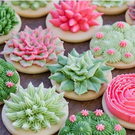 Trending 👉succulent treats like these cookies by @jennycookies . . . . #succulents #succulentcookies #sugarcookies #cookieart #cookiedecorating #buttercreamicing #wiltoncakes #wiltoncakedecorating #desserttrends #spring2018 #springtrends2018 #dessertideas #whatsbaking Bridal Shower Themes, Beautiful Baking, Succulent Theme, Succulent Cupcakes, Jenny Cookies, Succulent Cake, Cactus Cake, Cookie Making, Themes Wedding