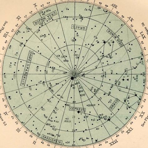 antique star charts Astronomy Vintage, Astrology Charts, Star Charts, Moleskine Planner, Celestial Sphere, Star Maps, Fortune Telling Cards, Bullet Journal Printables, Star Wall Art