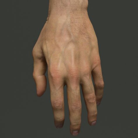 ArtStation - Hand- TAXI Driver WIP Fan Art, Stavros Karagiannis Pie, Men Hands Reference, Hand Reference Male, Flat Hand Reference, Male Hands Reference, Male Hand Reference, Zbrush Sculpting, Hands Reference, Hand Anatomy