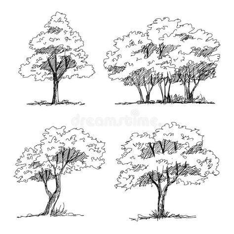 Drawing Environments, Sketch Trees, Trees Sketch, Odyssey Art, Architectural Trees, Plant Sketches, Tree Sketch, Architectural Illustration, Landscape Design Drawings