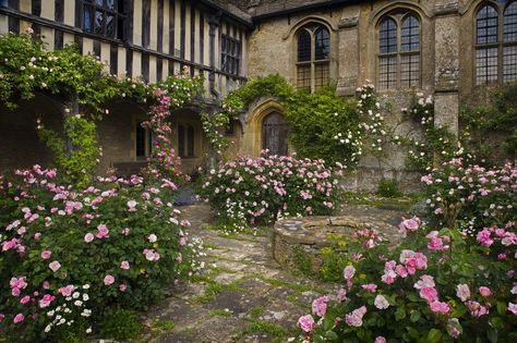 Great Chalfield Manor Fountains Abbey, Wiltshire England, Manor Garden, British Garden, Most Romantic Places, English Country Gardens, Garden Pictures, White Gardens, Country Gardening