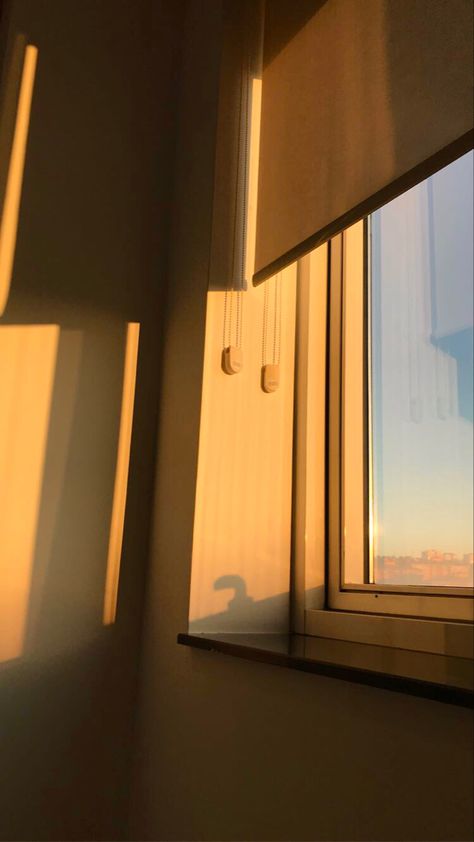 Morning Sunrise Aesthetic Window, Sunrise Aesthetic Window, Sun Aesthetics, Sunrise Building, Tiktok Images, Sunrise Window, Window Wallpaper, Sunrise Home, Sunrise Wallpaper