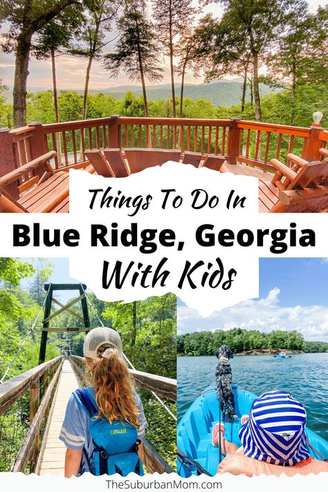 Things To Do In Blue Ridge Georgia With Kids - The Suburban Mom Blue Ridge Mountains Georgia, Vacations With Kids, Usa Vacations, Mountain Coaster, Southern Usa, Travel Georgia, Suburban Mom, Blue Ridge Georgia, Visit Georgia