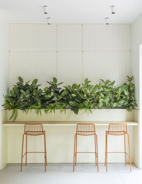 Restaurant Plants Design, Cafe Plants Interiors, Cafe With Plants, Restaurant Interior Design With Plants, Plant Wall Restaurant, Plants In Cafe Interiors, Tropical Cafe, Cafe Plants, Plant Troughs