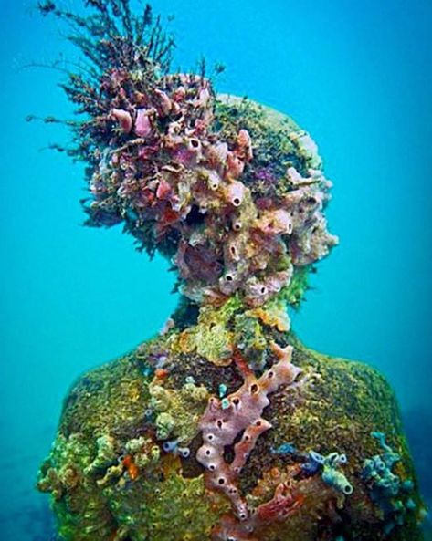 Jason Decaires Taylor, Apocalypse Au, Sea Stuff, Underwater Sculpture, Sculpture Museum, Coral Bleaching, Underwater Art, Underwater Photos, Sculpture Park