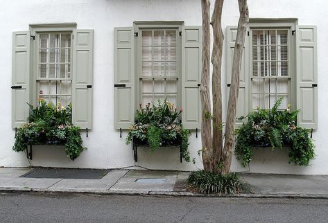 Window Boxes with Pale Green Shutters, Tradd Street, Charleston, SC by Hunky Punk, via Flickr Black Windows With Shutters Exterior, Green House With Cream Shutters, Boho Shutters, Shutters Colors, White Brick House Green Shutters, White House Green Trim, Green Shutters White House, White House Green Shutters, White Brick Green Shutters