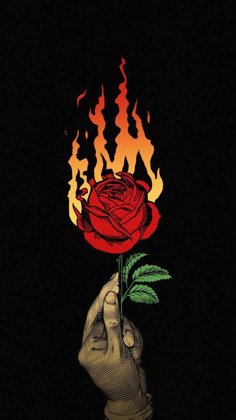 red rose / love always burns Angel Wings Iphone Wallpaper, Wallpaper Iphone Roses, Iphone Wallpapers Hd, Burning Rose, Mushroom Wallpaper, Wallpapers Ipad, Amoled Wallpapers, Cute Blue Wallpaper, Original Iphone Wallpaper