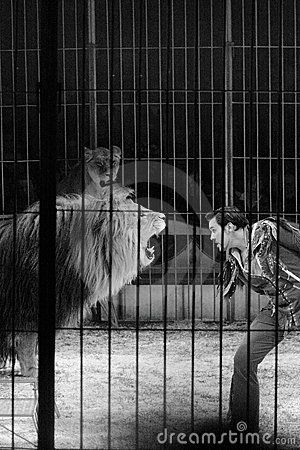 lion tamer Lion Circus, Victorian Circus, Circus Pictures, Unusual People, Circus Lion, Circus Vintage, Old Circus, Circus Acts, Lion's Den