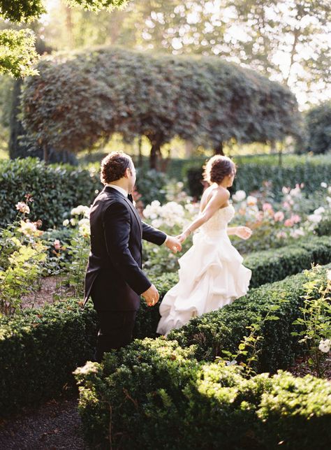 Beaulieu Garden Wedding, Park Wedding Ceremony, Beaulieu Garden, Outdoor Garden Wedding, Napa Valley Wedding, Wedding Ceremony Photos, Wedding Picture Poses, Wedding Photography Styles, Fine Art Wedding Photography