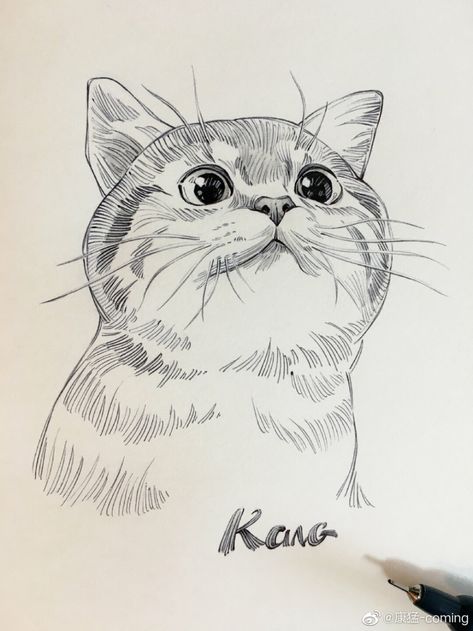 Kang Meng, Cat Drawing Sketches, Cat Drawing Ideas, Cats Art Drawing, Animal Drawings Sketches, Cat Drawings, Cute Cat Drawing, Cat Sketch, Cats Drawing