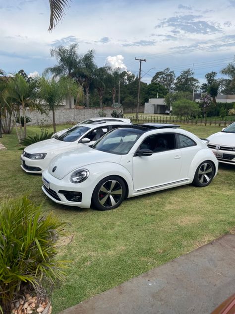 Volkswagen Beetle Decor, White Beetle, Beetle Girl, Bug Car, Beetle Car, Mustang Convertible, New Beetle, Car Volkswagen, Cute Car Accessories