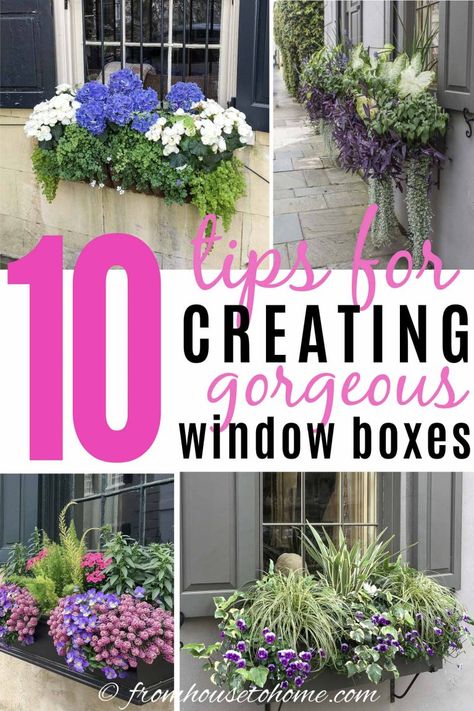 10 Tips For Designing Gorgeous Window Boxes | Gardening Ideas Ferns In Window Boxes, Flower Box Ideas, Planter Boxes Flowers, Impatiens Plant, Flower Combinations, Garden Front Of House, Window Box Plants, Window Box Garden, Porch Flowers