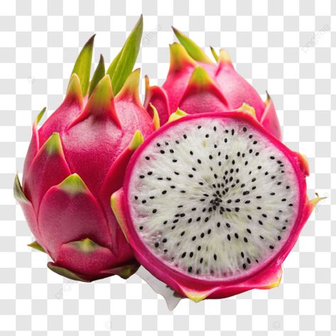 dragon fruit delight dragon fruit fruit exotic fruit png Fruit Delight, Fruit Png, Fruit Fruit, Transparent Image, Exotic Fruit, Dragon Fruit, Png Transparent, Png Image, Geometry