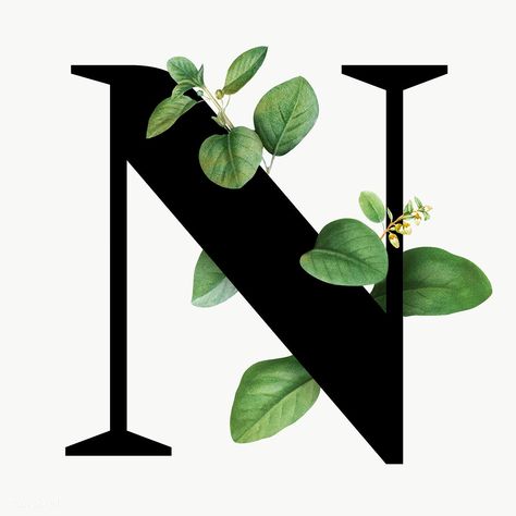 N Wallpaper Letter Aesthetic, Capital Letter Fonts, N Letter Design, Botanical Capital Letter, Aesthetic Letter, Alfabet Font, The Letter N, Alphabet Letters Design, Alfabet Letters