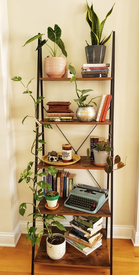 Single Bookshelf Styling, Retro Shelf Decor, Plant Bookcase, Bookshelf With Plants, Shelving Unit Decor, Apartment Shelves, Plant Bookshelf, Apartment Bookshelves, Living Room Shelf