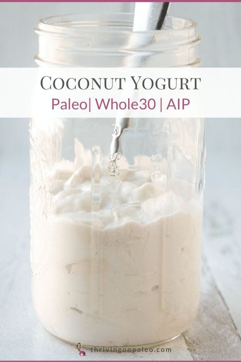 A creamy dairy-free coconut yogurt made from coconut milk will satisfy that desire without making you sick if dairy is a problem! Super easy to make! Aip Condiments, Aip Keto, Aip Foods, Autoimmune Diet Recipes, Aip Diet Recipes, Aip Snack, Paleo Condiments, Aip Breakfast, Autoimmune Paleo Diet