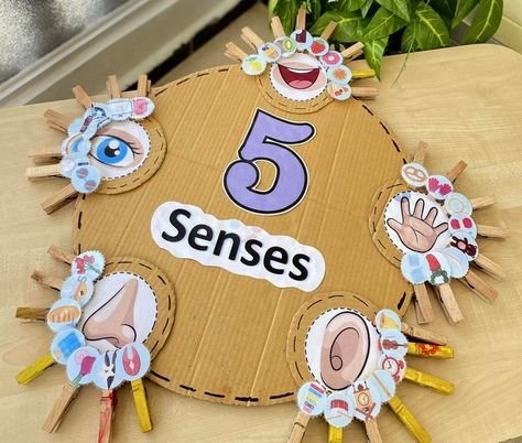 Senses Projects For Preschool, Senses Dramatic Play, Five Senses Projects For Kids, Our 5 Senses Preschool, 5 Senses Activity For Preschoolers, 5senses Activity, My Five Senses Preschool Crafts, My 5 Senses Preschool Activities, Five Senses Preschool Crafts