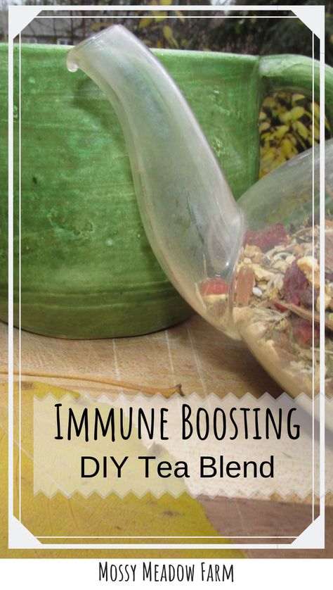 Immune Boosting Tea, Nose Ideas, Echinacea Tea Benefits, Echinacea Benefits, Echinacea Tea, Diy Tea, Immune Boosting Foods, Medicinal Tea, Healing Tea