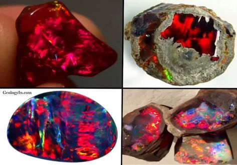 Red Opal Crystal Lattice, Jelly Opal, Peruvian Blue Opal, Red Opal, Gem Mining, Metamorphic Rocks, Yellow Opal, Types Of Opals, Precious Opal