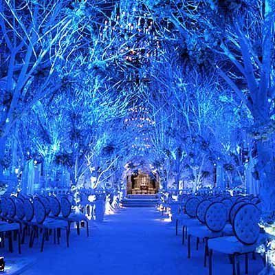 Winter Wonderland Wedding Decorations, Wonderland Wedding Decorations, Ice Blue Weddings, Tree Wedding Ceremony, Winter Wonderland Wedding Theme, Frozen Wedding, Wonderland Wedding Theme, Wedding Titles, Winter Wonderland Theme