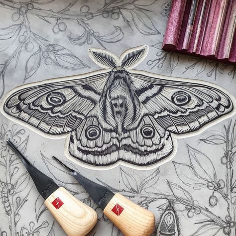 Lino Print Artists, Silk Moths, Silk Moth, Linocut Artists, Sublimacion Ideas, Community Show, Lino Art, Moth Tattoo, Relief Printing