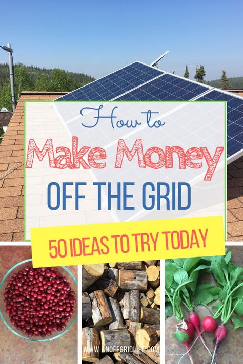 How to Make Money Off The Grid: 50 Ideas to Try Now | An Off Grid Life Aluminum Shingles, Preppers Survival, Grid Ideas, Homestead Blog, Off Grid Homestead, Raising Quail, Homestead Life, Going Off The Grid, Adolescent Health