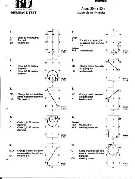 Dressage Tack, Horse Jumping Exercises, Classical Dressage, Dressage Tests, Dressage Exercises, Dressage Arena, Test Score, Horse Training Exercises, Horseback Riding Tips