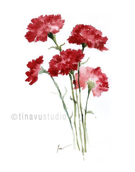 Carnations Tattoo, Carnations Watercolor, Carnation Watercolor, Carnation Drawing, Carnation Tattoo, Watercolor Flower Prints, Red Carnation, January Birthday, Watercolor Red