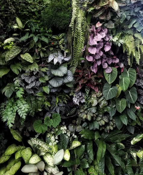 Vertical Garden Wall Outdoors, Indoor Vertical Garden Wall, Vertikal Garden, Vertical Garden Plants, Wall Plants, Vertical Garden Indoor, Vertical Garden Design, Tropical Garden Design, Jungle Gardens