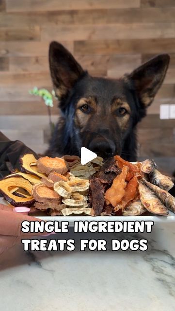 JADE THE SABLE GSD on Instagram: "6 Single Ingredient Dog Treat Recipes 🐶 Don’t forget to save this recipe and follow us for more  - I hope everyone enjoys this very easy and healthy one ingredient dog treats recipe! We did these in a dehydrator but we share oven directions as well. We made chicken jerky, sweet potato chews, apple chips, banana chips, beef jerky and dried sardines crisps!  #dogtreats #dogjerky #homemadedogtreats #dog #germanshepherd #dogs #dogrecipe" Chicken Jerky Recipes Dehydrator Dog Treats, Freeze Dry Dog Treats, Dehydrator Recipes For Dogs, Dog Jerky Recipes, Dog Chicken Jerky, Chicken Dog Treats Recipes, Dried Sardines, Dehydrator Dog Treats, Jerky Recipes Dehydrator