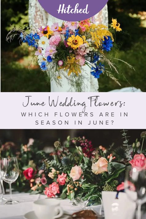 Best Flowers For June Wedding, Flowers June Wedding, Early June Wedding Flowers, June Wedding Flowers In Season, Wedding Flowers May Uk, June Flower Bouquet, June Flowers Wedding, June Bridal Bouquet, June Flowers In Season