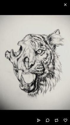 Half Skull Half Face Drawing, Half Skull Tattoo, Animal Skull Drawing, Half Face Drawing, Atlas Tattoo, Tiger Skull, Tier Tattoo, Half Skull, Skull Illustration