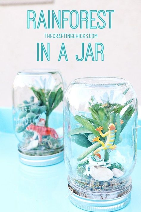 Terrariums are a big trend right now, but they aren’t always overly exciting for little ones.  This alternative is a great way to get your kids involved in both gardening and crafting.  With … Craft For Summer, Rainforest Crafts, Jungle Crafts, Vbs Crafts, Diy Spring, Rain Forest, Camping Crafts, Fun Crafts For Kids, Mason Jar Crafts