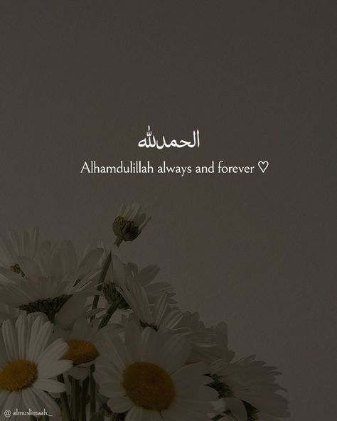 Islamic Quote Dp For Whatsapp, Qoute Profile Picture, Alhumdulilah Wallpaper Iphone, Allhumdullilha Dp, English Sayings Quotes, Arabic Profile Pictures, Allahamdulilah Quotes, Alhamdulillah Always And Forever, Allhamdulliah Images Wallpaper