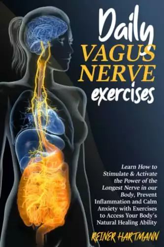 Vegas Nerve, Nerve Exercises, Vagus Nerve Stimulator, Nervus Vagus, Nerve Health, Vagus Nerve, Health And Fitness Articles, Qi Gong, Nerve Pain