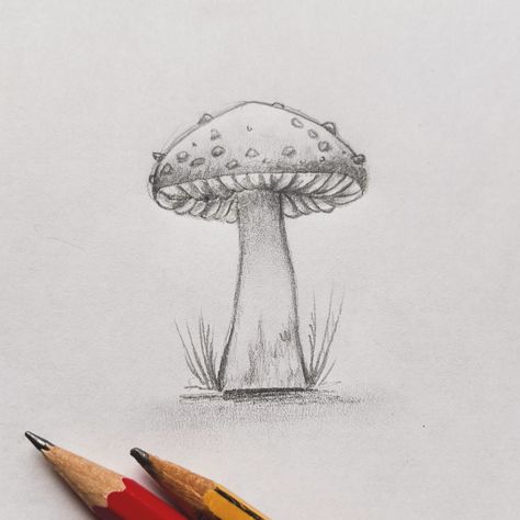 🍄 Super simple quick little sketch for todays prompt of “minimal”. #tandtmayshroom #mayshroom #mayshroom2024 #toadstool #amanita #flyagaric #fairytale #aliceinwonderland #sketch #pencilsketch Toadstool Drawing, Pencil Sketch, Pencil Drawing, Super Simple, Pencil Drawings, Alice In Wonderland, Fairy Tales, Sketch, Pencil