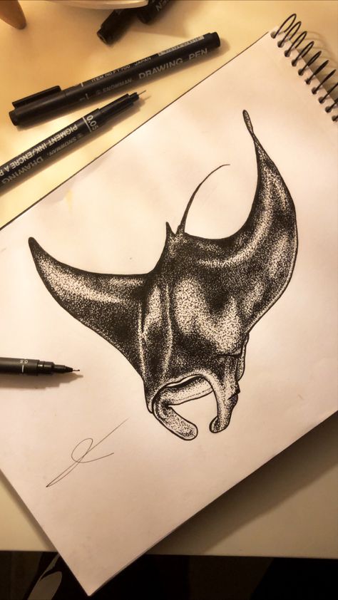 Drawing Manta Ray, Man Ray Tattoo, Manta Ray Painting Acrylic, Manta Ray Drawing Sketch, Manga Ray Tattoo, Stingray Drawing Easy, Sting Ray Drawings, Stingray Sketch, Manta Ray Tattoo Design