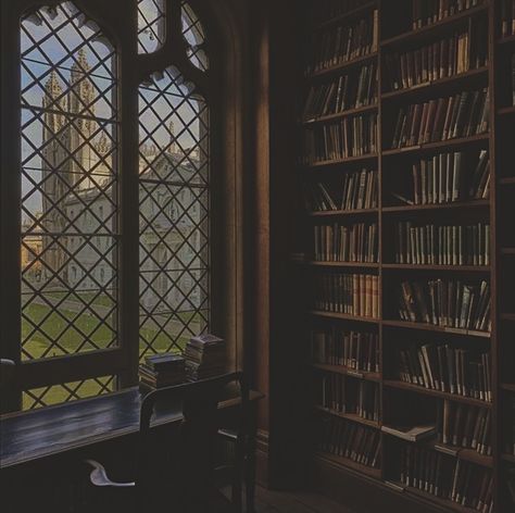 Home Library Aesthetic, Hogwarts Library, Wammy's House, Dark Acadamia, Dream Library, Chaotic Academia, Library Aesthetic, Old Library, Hogwarts Aesthetic