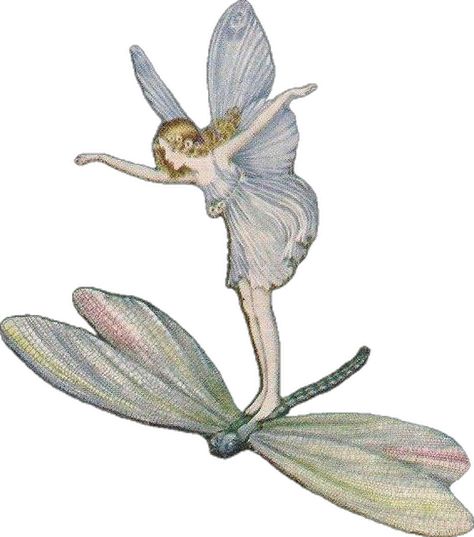 Huge Dragon, Ida Rentoul Outhwaite, Fly Drawing, Scrapbook Images, Fairy Stickers, Contemporary Impressionism, Elves And Fairies, Dragon Fly, Japanese Embroidery