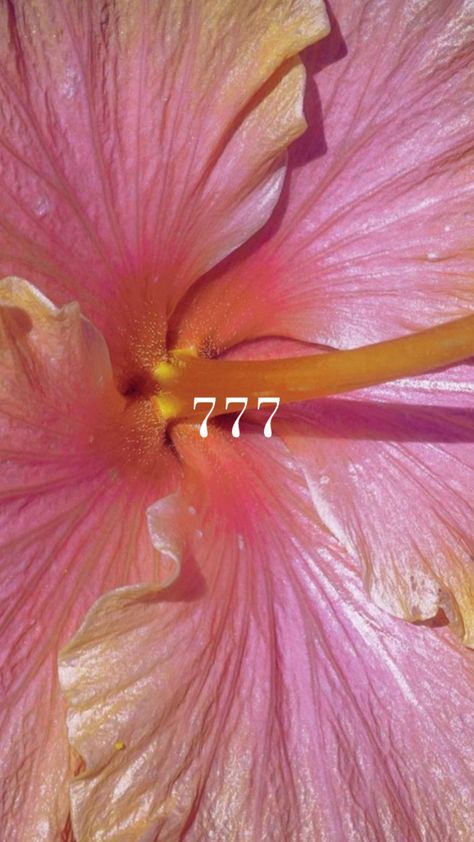 777 Wallpaper, Summer Prints Wallpaper, Minimalist Wallpaper Phone, Checker Wallpaper, Iphone Pictures, Wallpaper Nature Flowers, Iphone Wallpaper App, Iphone Wallpaper Photos, Hibiscus Flower